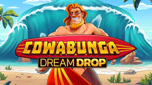 Community and Social Aspects of Playing Cowabunga Dream Drop Slot