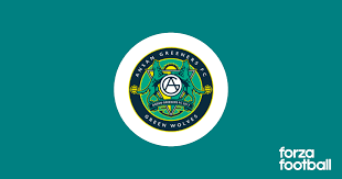 Playing Style and Tactics Ansan Greeners